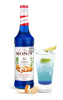 Syrop Blue Curacao Monin 0,7L