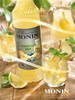 Lemonade MIX - Koncentrat Lemoniada Monin 1L PET