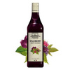 Syrop Dzikie Jagody ODK - Wildberry 0,75L